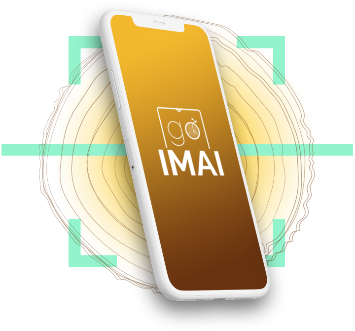 Imagen de un teléfono móvil con el logotipo de 'go IMAI' en la pantalla