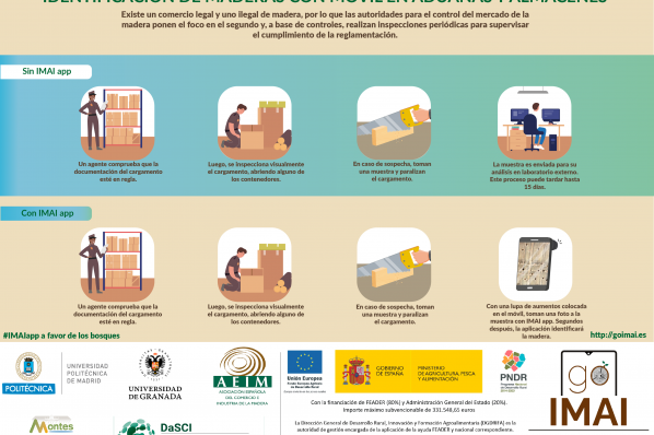 Infografía 'GO IMAI, Identificación de maderas con móvil en aduanas y almacenes'