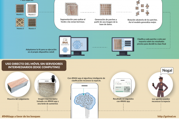 Infografía 'Inteligencia artificial para la identificación de especies de madera'